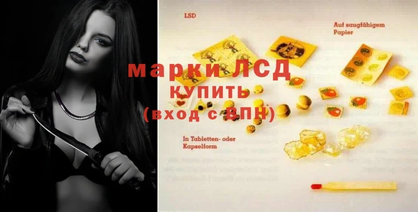 spice Куйбышев