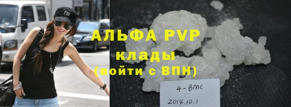 прущие грибы Краснослободск