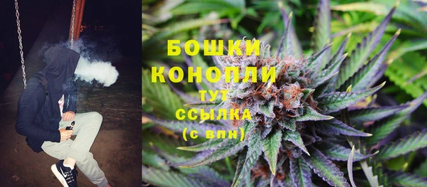 гидропоника Кулебаки