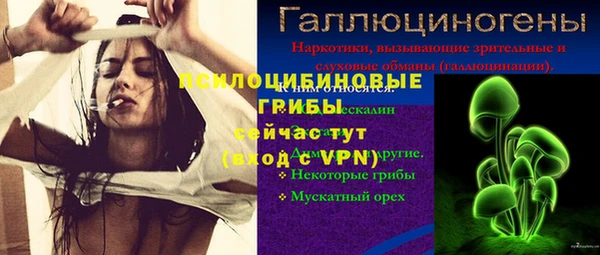 прущие грибы Краснослободск